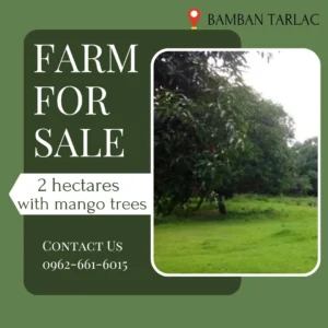 Green House for Sale Instagram Post -compressed